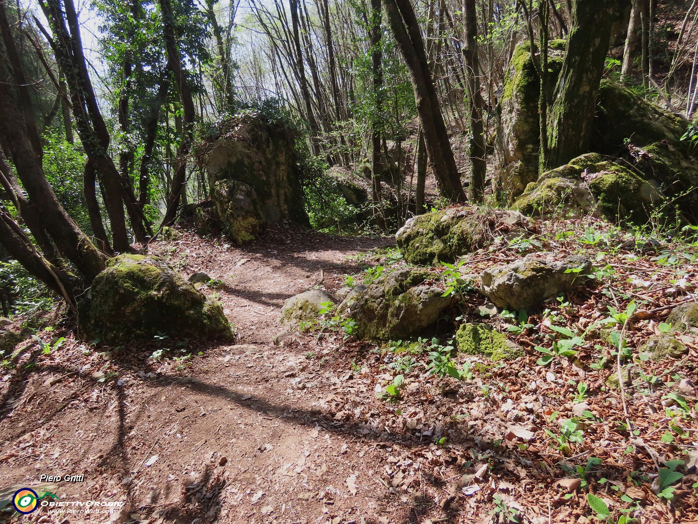 70 Il bosco termina con bei roccioni.JPG